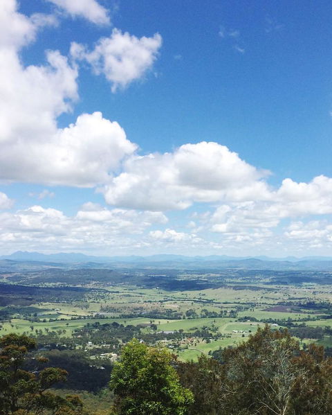 Springbrook AndTamborine Rainforest Tour Incl Natural Bridge And Glow Worm Cave - Attractions Brisbane 5