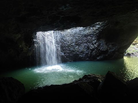 Springbrook AndTamborine Rainforest Tour Incl Natural Bridge And Glow Worm Cave - Attractions Brisbane 2