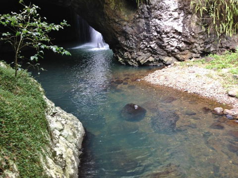Springbrook AndTamborine Rainforest Tour Incl Natural Bridge And Glow Worm Cave - Attractions Brisbane 6