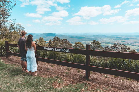 Springbrook AndTamborine Rainforest Tour Incl Natural Bridge And Glow Worm Cave - Attractions Brisbane 13