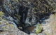 Springbrook AndTamborine Rainforest Tour Incl Natural Bridge And Glow Worm Cave - thumb 15