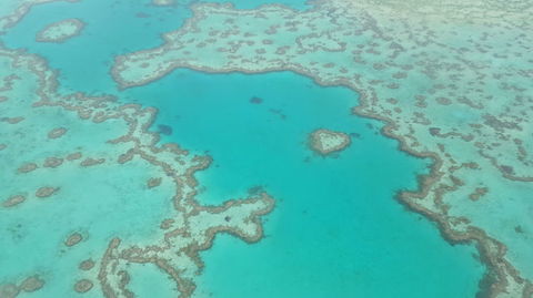 Reef And Island Scenic Flight From Airlie Beach - Attractions Brisbane 3