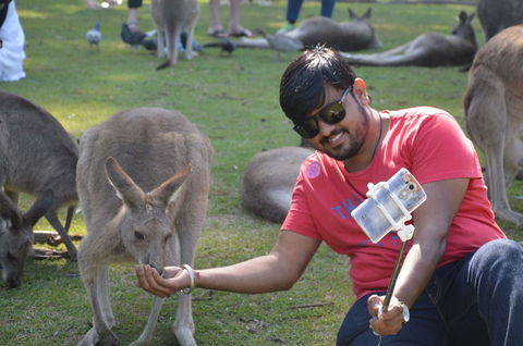 Crab Trip From Gold Coast - Attractions Brisbane 13