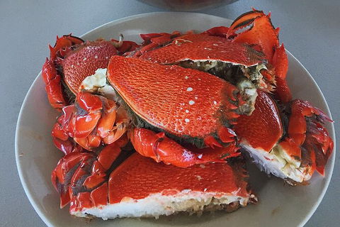 Crab Trip From Gold Coast - Attractions Brisbane 28
