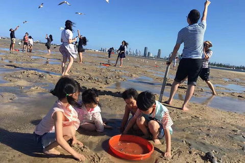 Crab Trip From Gold Coast - Attractions Brisbane 32