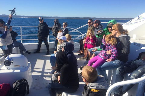 Hervey Bay Whale Watching Experience - Attractions Brisbane 10