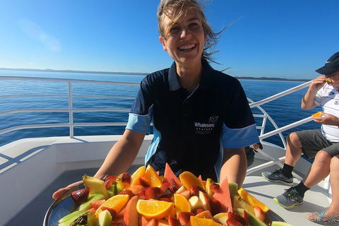 Hervey Bay Whale Watching Experience - Attractions Brisbane 5