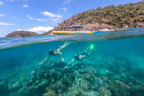 Ocean Rafting Tour To Whitehaven Beach, Hill Inlet Lookout & Top Snorkel Spots - Attractions Brisbane 16