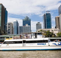 Lone Pine Koala Sanctuary Admission with Brisbane River Cruise - Attractions Brisbane