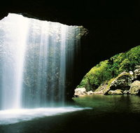 World Heritage Springbrook National Park Tour Including Natural Bridge - Attractions Brisbane