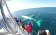 Half-Day Whale Watching And Canal Cruise From Surfers Paradise - thumb 6