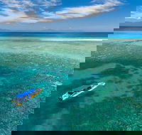 Ocean Safari Great Barrier Reef Experience in Cape Tribulation - Attractions Brisbane