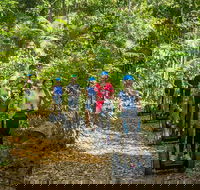 Whitsunday Segway Rainforest Discovery Tour - Attractions Brisbane