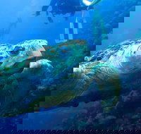 Scuba Dive the S.S. Yongala Wreck on the Great Barrier Reef. - Attractions Brisbane