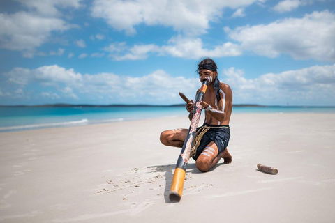 Great Sandy Marine Park Turtle Discovery And Cultural Eco Tour - Attractions Brisbane 6