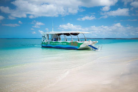 Great Sandy Marine Park Turtle Discovery And Cultural Eco Tour - Attractions Brisbane 5