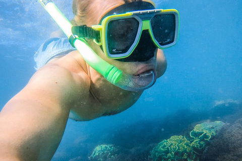 Great Sandy Marine Park Turtle Discovery And Cultural Eco Tour - Attractions Brisbane 2