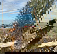 Goolimbil Walkabout Indigenous Experience in the Town of 1770 - Attractions Brisbane