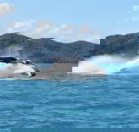 Whitsundays Whale Watching Cruise from Airlie Beach - Attractions Brisbane
