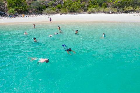 Stray Australia: Brisbane To Cairns Freestyle Tour - Attractions Brisbane 1