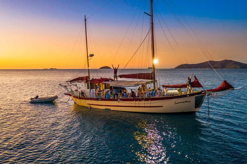 Stray Australia: Brisbane To Cairns Freestyle Tour - Attractions Brisbane 0