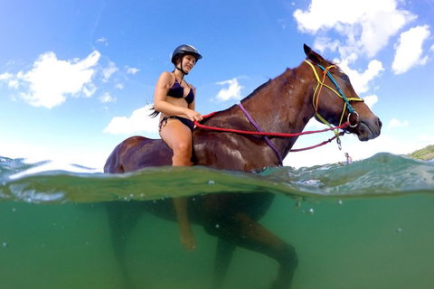 Horse Swimming Ride From Rainbow Beach - Attractions Brisbane 1