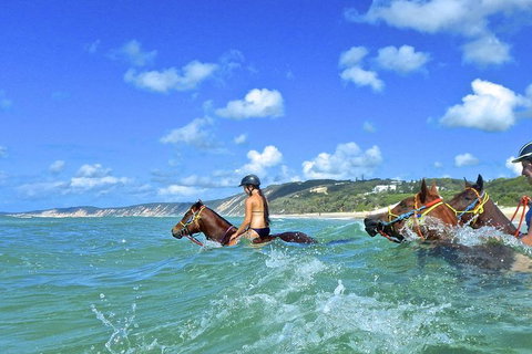 Horse Swimming Ride From Rainbow Beach - Attractions Brisbane 0