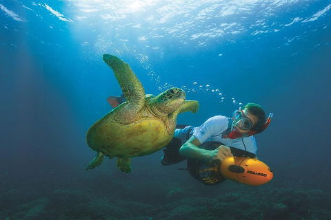 Moreton Island Day Trip From Brisbane - Attractions Brisbane 1