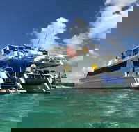 Eco Marine Safari - Boom netting  Snorkeling Moreton Island - Fortitude Valley - Attractions Brisbane