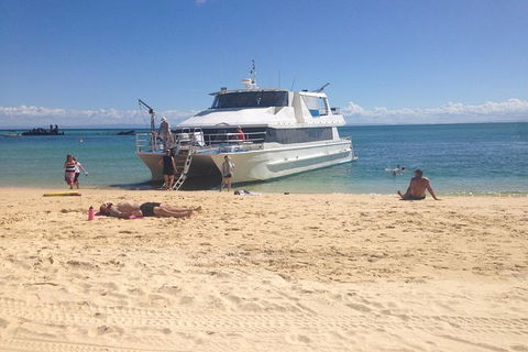Eco Marine Safari - Boom Netting & Snorkeling Moreton Island - Fortitude Valley - Attractions Brisbane 11