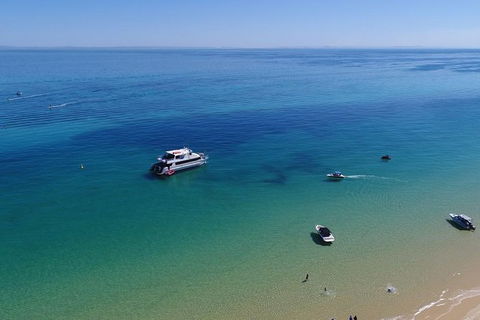 Eco Marine Safari - Boom Netting & Snorkeling Moreton Island - Fortitude Valley - Attractions Brisbane 9