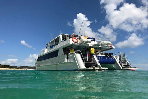 Eco Marine Safari - Boom Netting & Snorkeling Moreton Island - Fortitude Valley - Attractions Brisbane 2