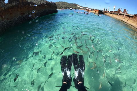 Eco Marine Safari - Boom Netting & Snorkeling Moreton Island - Fortitude Valley - Attractions Brisbane 6