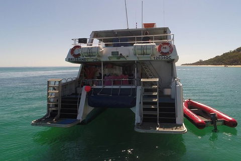 Eco Marine Safari - Boom Netting & Snorkeling Moreton Island - Fortitude Valley - Attractions Brisbane 13