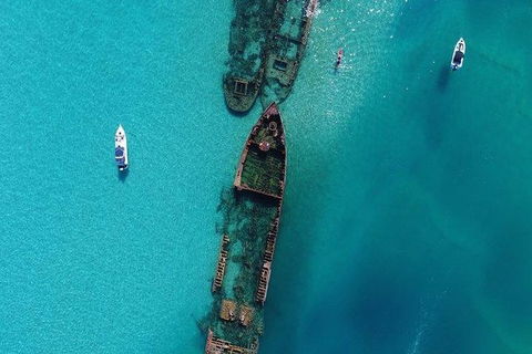 Eco Marine Safari - Boom Netting & Snorkeling Moreton Island - Fortitude Valley - Attractions Brisbane 8