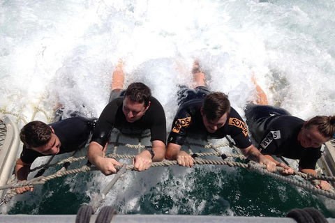 Eco Marine Safari - Boom Netting & Snorkeling Moreton Island - Fortitude Valley - Attractions Brisbane 10