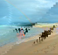 Rainbow Beach Horse Ride - Attractions Brisbane