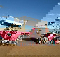 Town of 1770 Afternoon Cruise - Attractions Brisbane