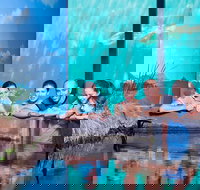 Reef HQ Great Barrier Reef Aquarium General Entry Ticket - Attractions Brisbane