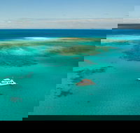 Great Barrier Reef Dive and Snorkel Cruise from Mission Beach - Attractions Brisbane