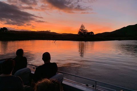 Daintree River Dawn Cruise - Attractions Brisbane 8