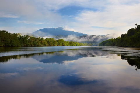 Daintree River Dawn Cruise - Attractions Brisbane 5