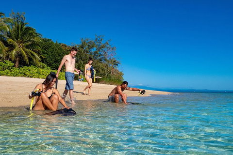 Half Day Low Isles Snorkelling Tour From Port Douglas - Attractions Brisbane 0