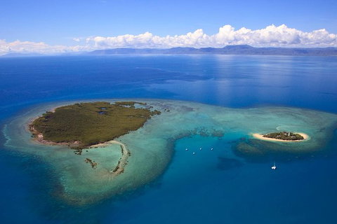 Half Day Low Isles Snorkelling Tour From Port Douglas - Attractions Brisbane 4