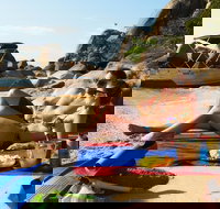 Orpheus Island Day Trip by Helicopter from Townsville - Attractions Brisbane