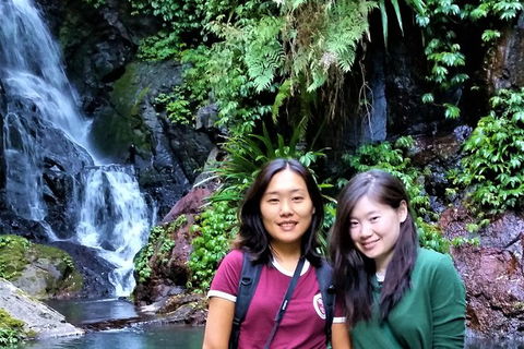 Lamington Day Tour - Attractions Brisbane 11