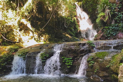 Lamington Day Tour - Attractions Brisbane 7