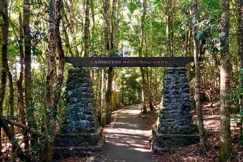 Lamington Day Tour - Attractions Brisbane 4