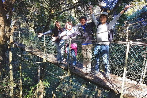 Lamington Day Tour - Attractions Brisbane 9