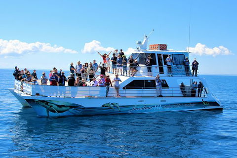Three-Quarter Day Hervey Bay Premium Whale Watching Cruise - Attractions Brisbane 11